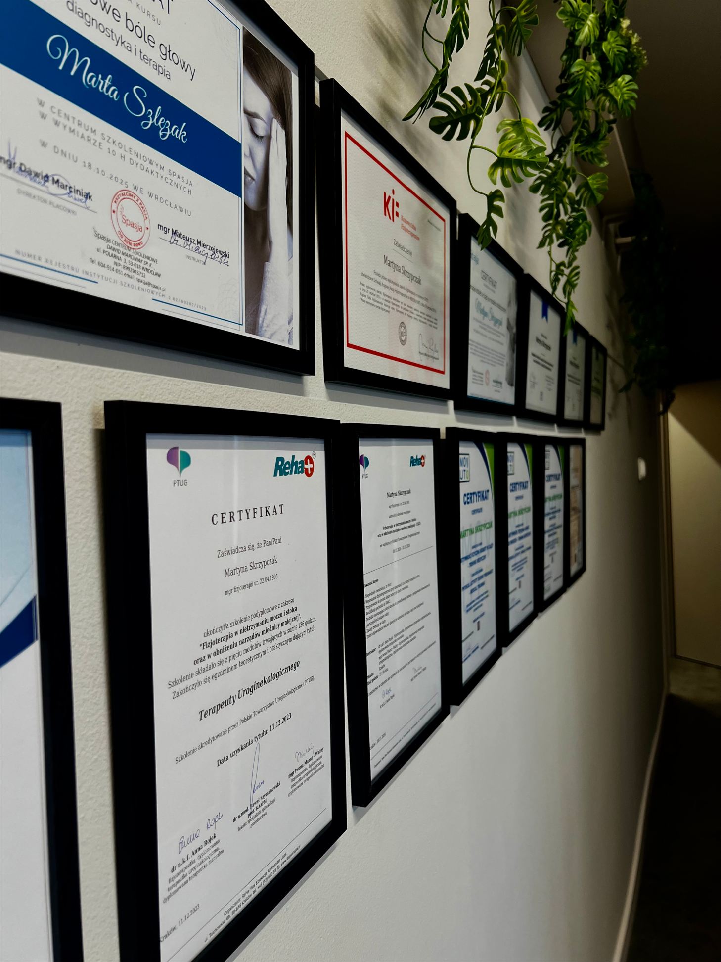 Perspektywa ściany z certyfikatami