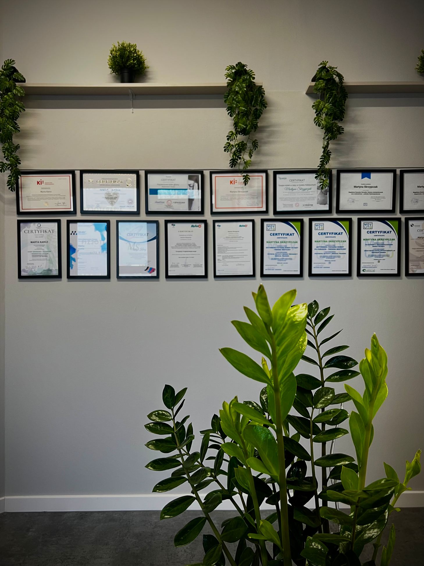 Ściana z certyfikatami i roślinami